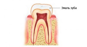 Эмаль зуба - самая твердая ткань